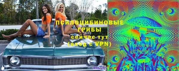 прущие крисы Алексеевка